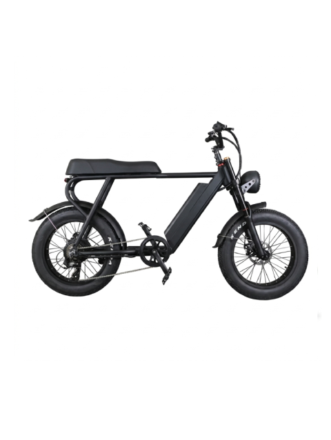 ENGWE  Retro Electric Bicycle Old