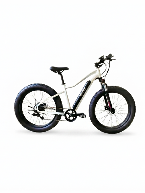 electric fat bike