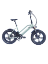 Ebike Electric Bike Aluminum Wheels Lithium Battery Fat Tire Electric Bike