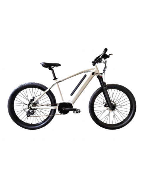 Electric Mountain Bike Mid Drive Portable E-Bike Hidden Battery
